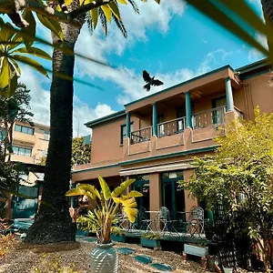 Albatross , Kapstadt Südafrika